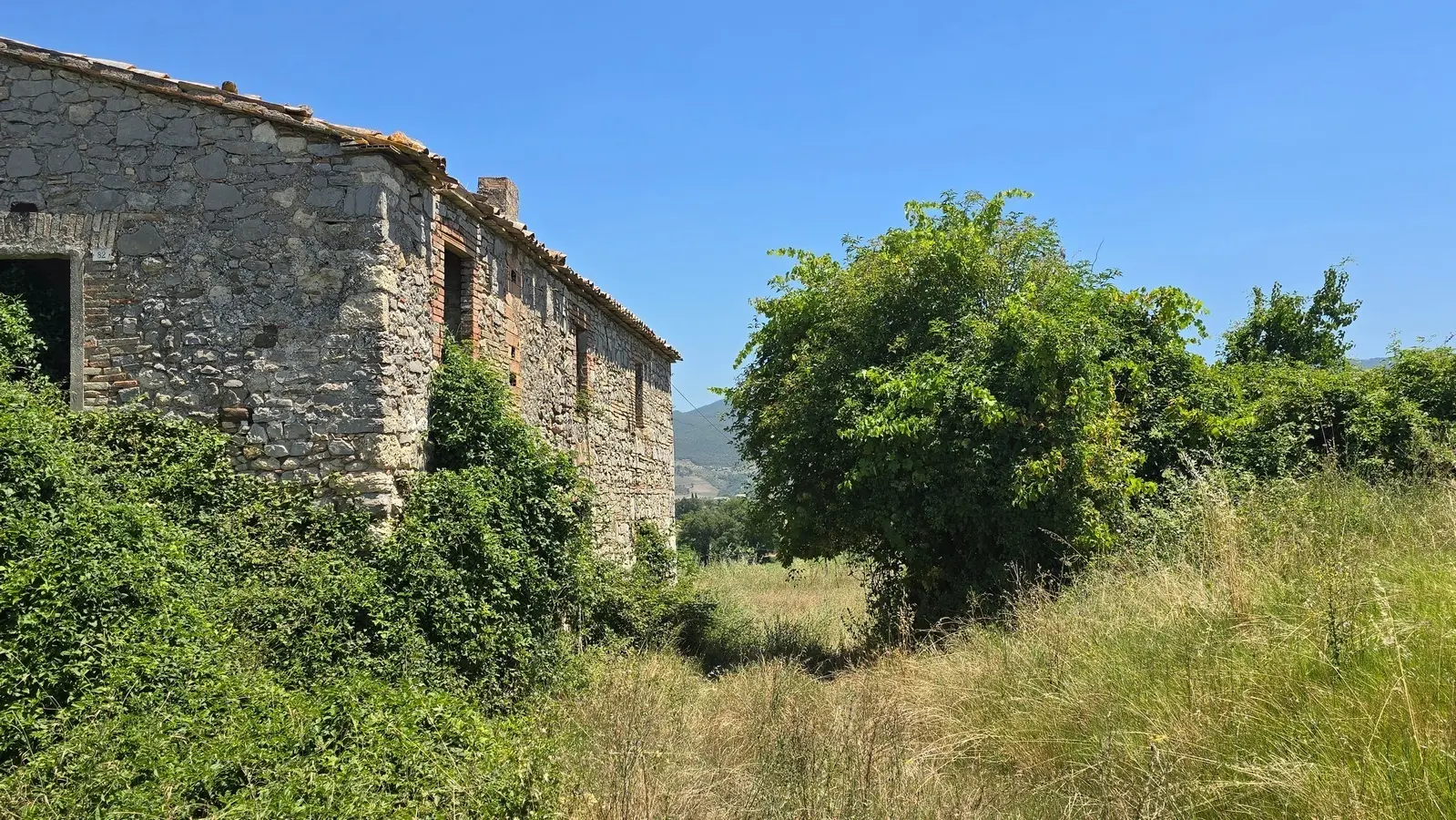 Immagine per Casale in vendita a Baschi strada Provinciale 92