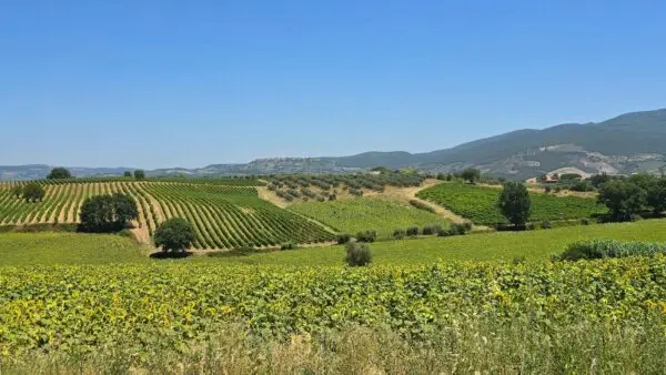 Casale strada Provinciale 92, Baschi