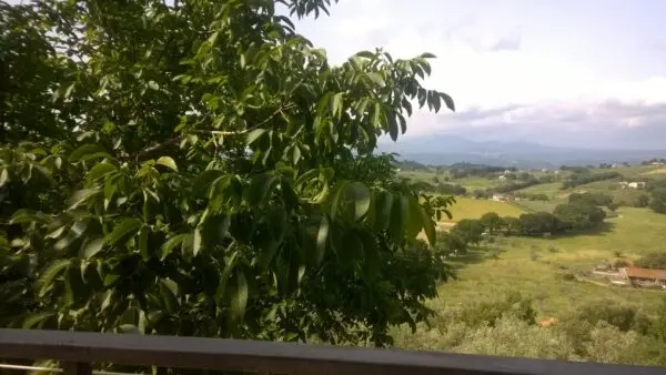 Porzione Di Casa via San Francesco, Lugnano In Teverina
