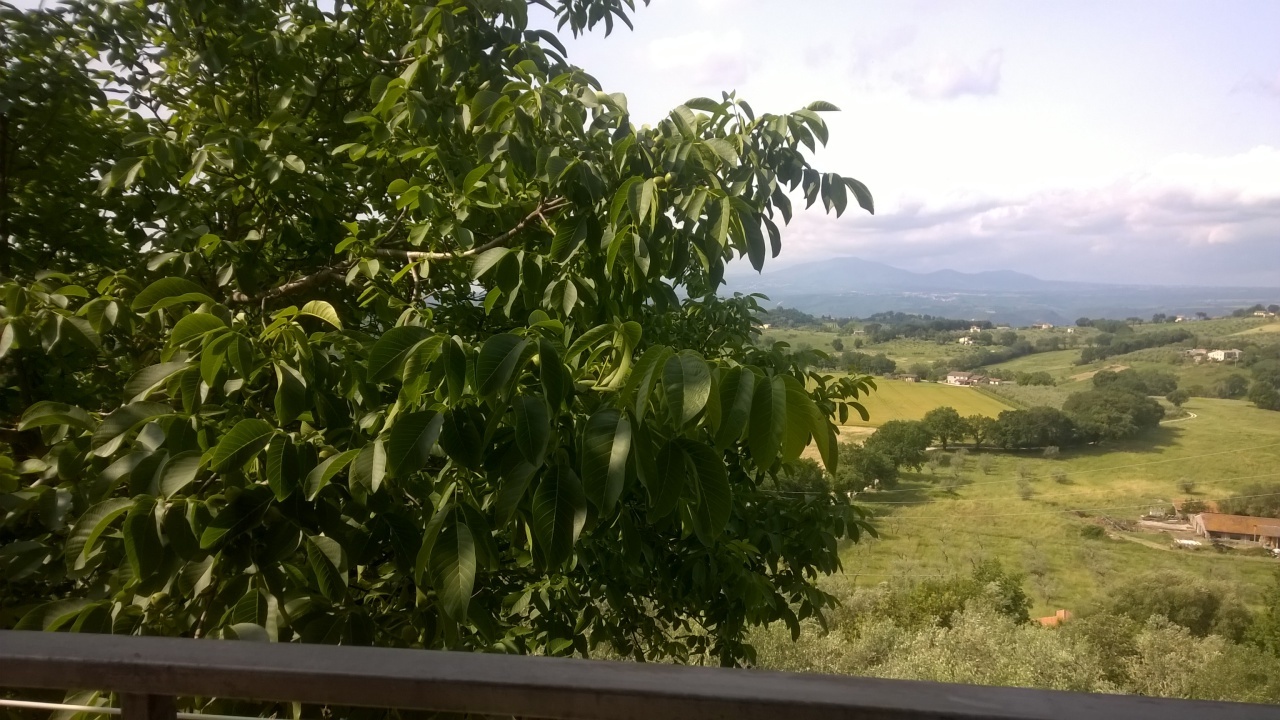 Immagine per Porzione di casa in vendita a Lugnano in Teverina via San Francesco