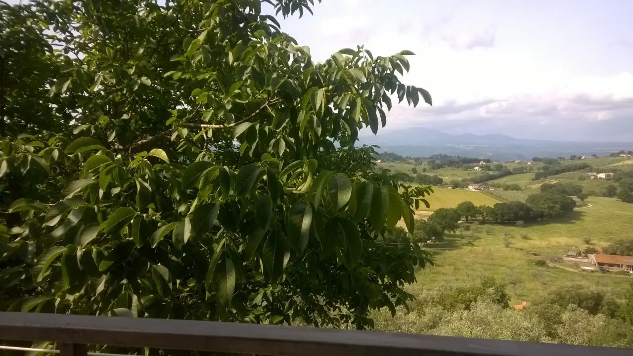 Immagine per Porzione di casa in vendita a Lugnano in Teverina via San Francesco