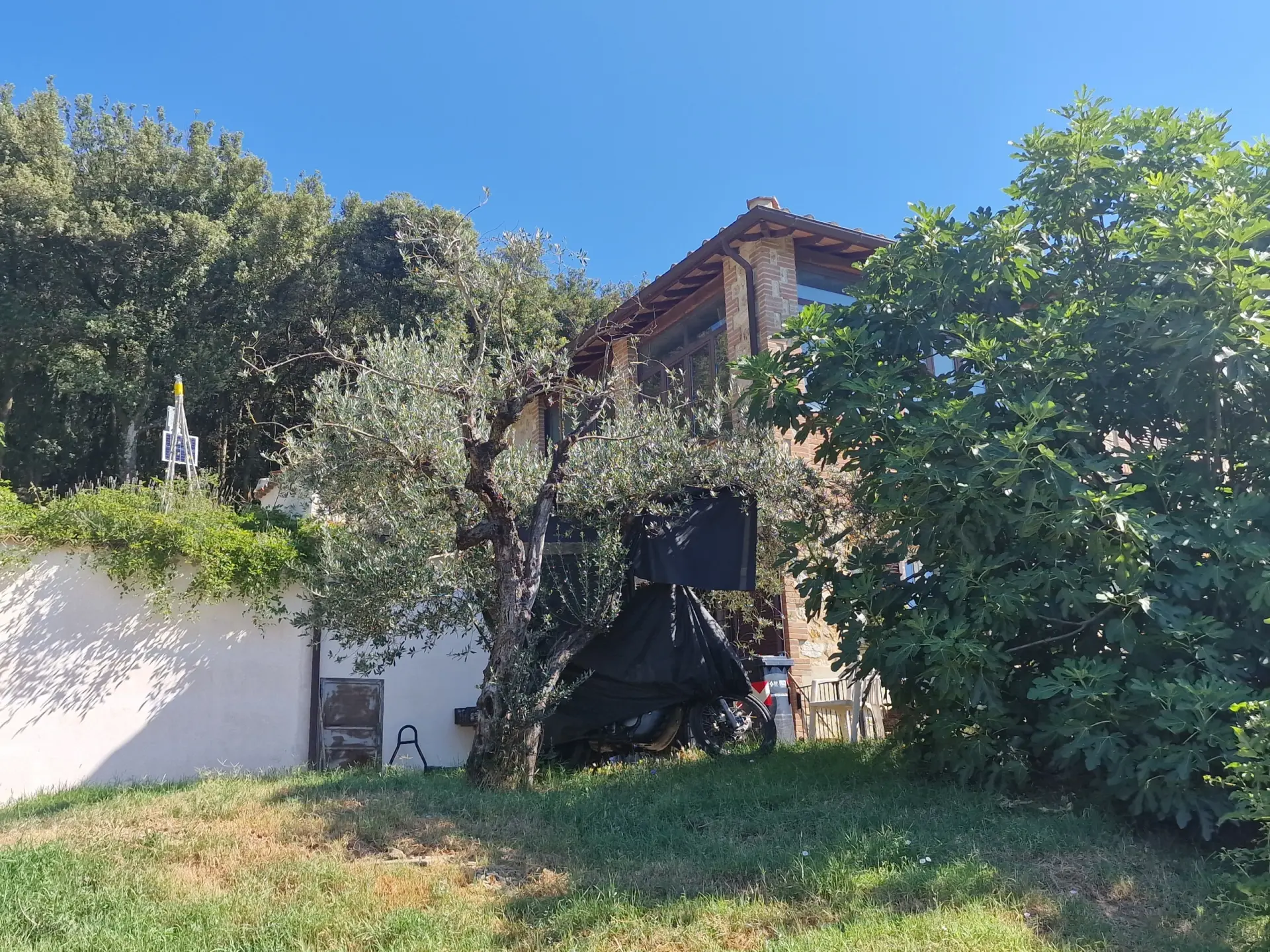 Immagine per Casale in vendita a Amelia via Orvieto 35