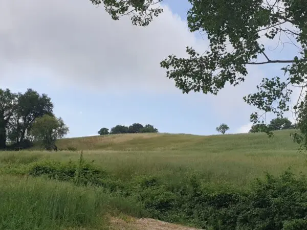 Terreno via Vocabolo Varzoli, Lugnano In Teverina