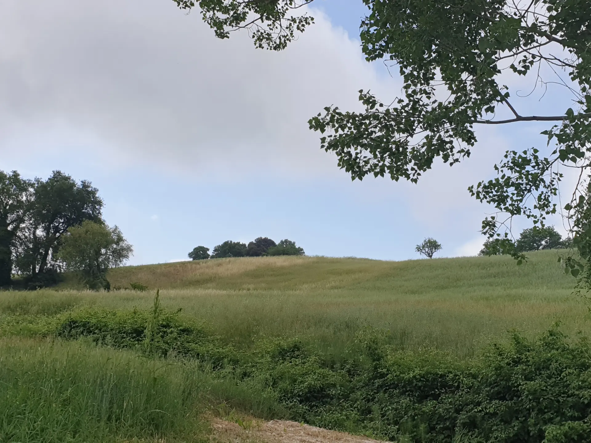 Immagine per Terreno in vendita a Lugnano in Teverina via Vocabolo Varzoli