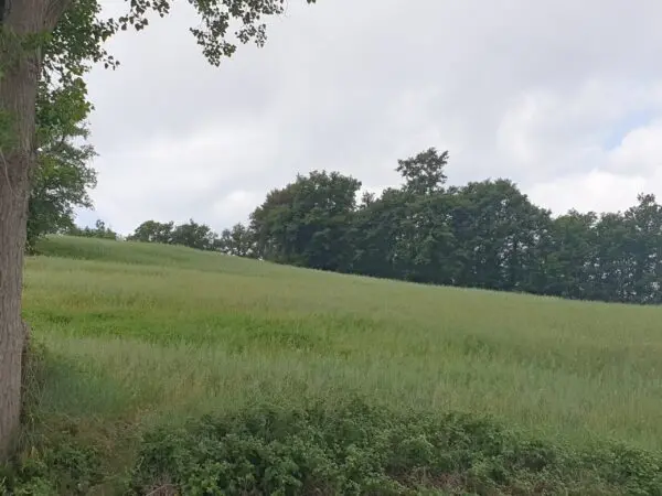 Terreno via Vocabolo Varzoli, Lugnano In Teverina