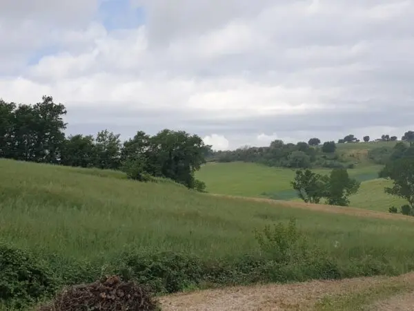 Terreno via Vocabolo Varzoli, Lugnano In Teverina