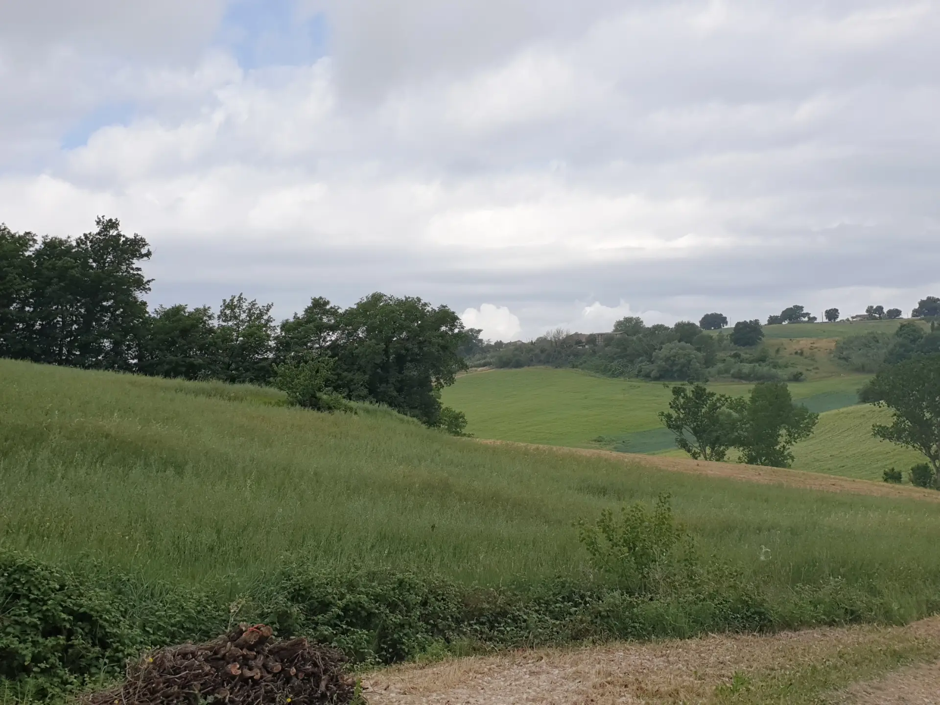 Immagine per Terreno in vendita a Lugnano in Teverina via Vocabolo Varzoli