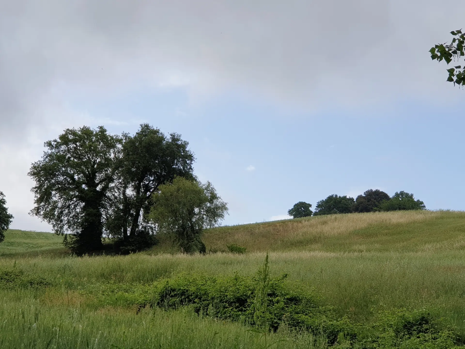 Immagine per Terreno in vendita a Lugnano in Teverina via Vocabolo Varzoli