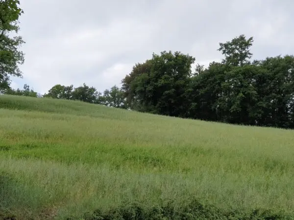 Terreno via Vocabolo Varzoli, Lugnano In Teverina