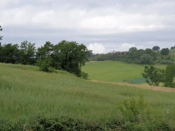 Terreno via Vocabolo Varzoli, Lugnano In Teverina