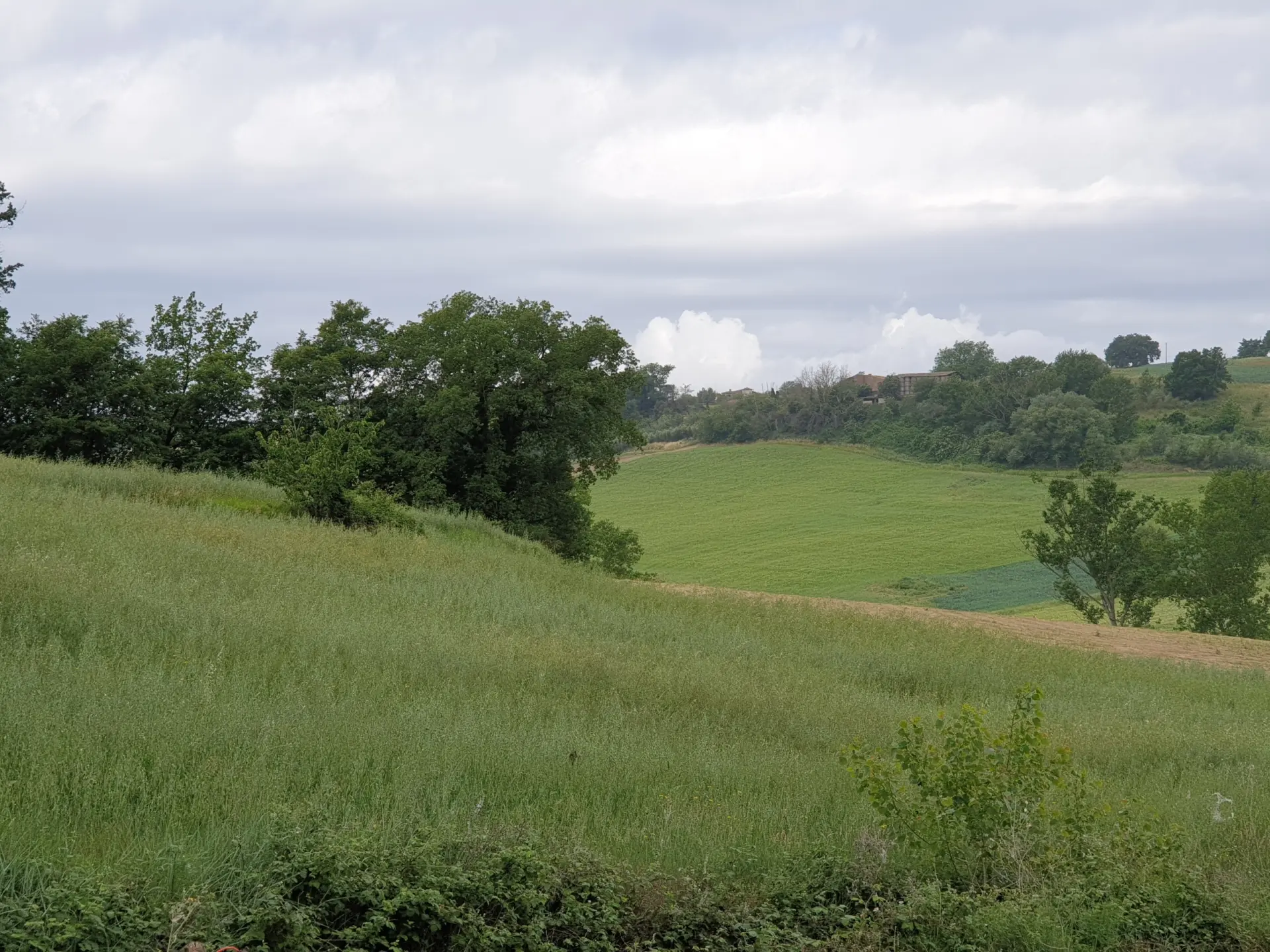 Immagine per Terreno in vendita a Lugnano in Teverina via Vocabolo Varzoli