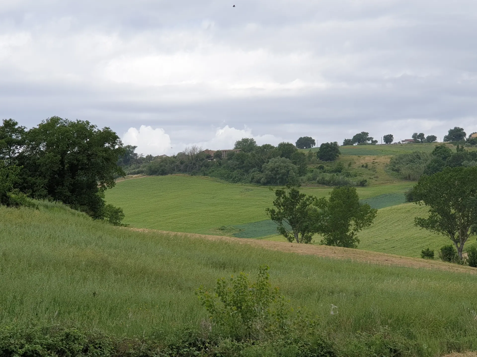 Immagine per Terreno in vendita a Lugnano in Teverina via Vocabolo Varzoli