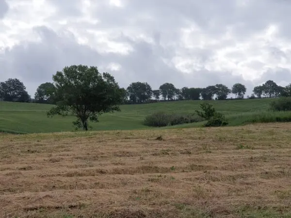 Terreno via Vocabolo Varzoli, Lugnano In Teverina