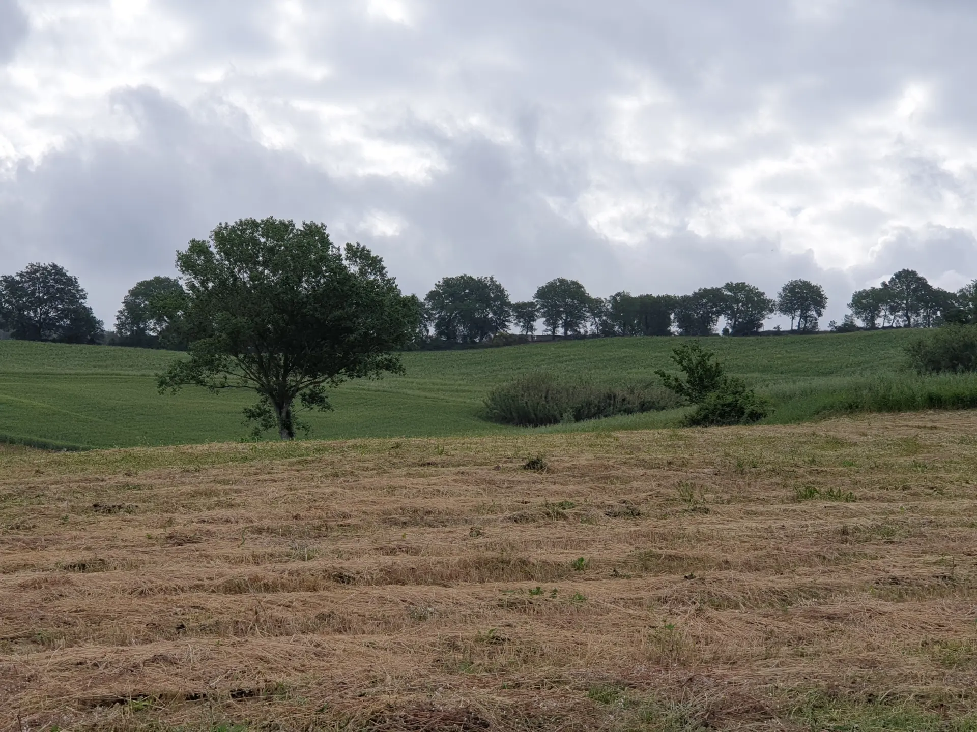 Immagine per Terreno in vendita a Lugnano in Teverina via Vocabolo Varzoli