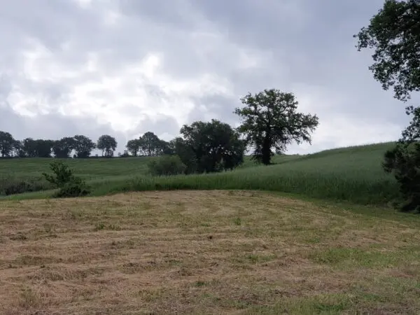 Terreno via Vocabolo Varzoli, Lugnano In Teverina