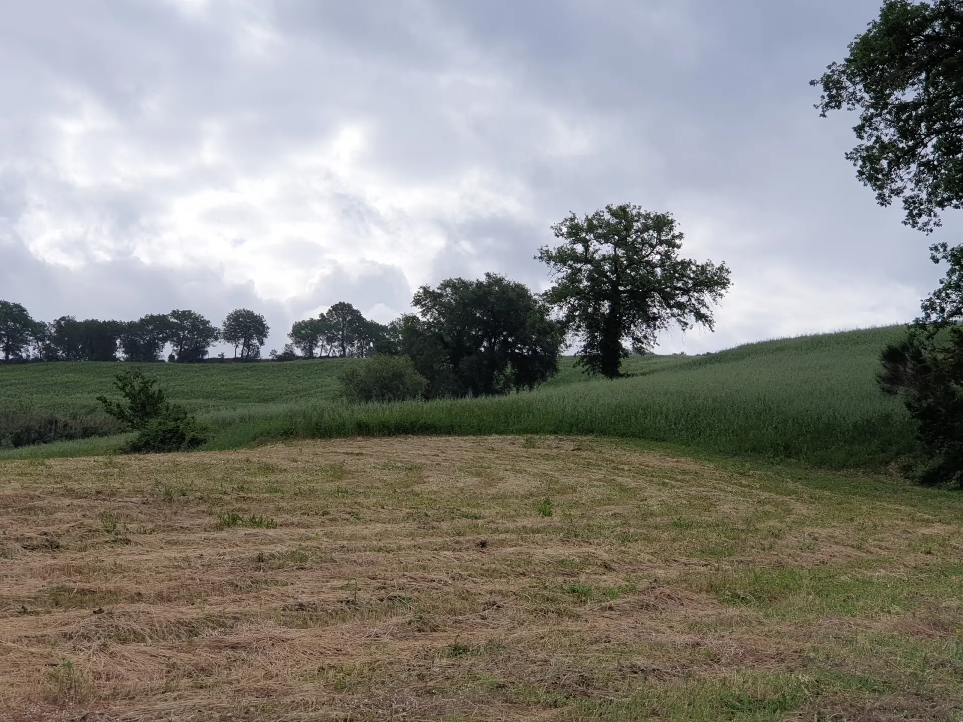 Immagine per Terreno in vendita a Lugnano in Teverina via Vocabolo Varzoli