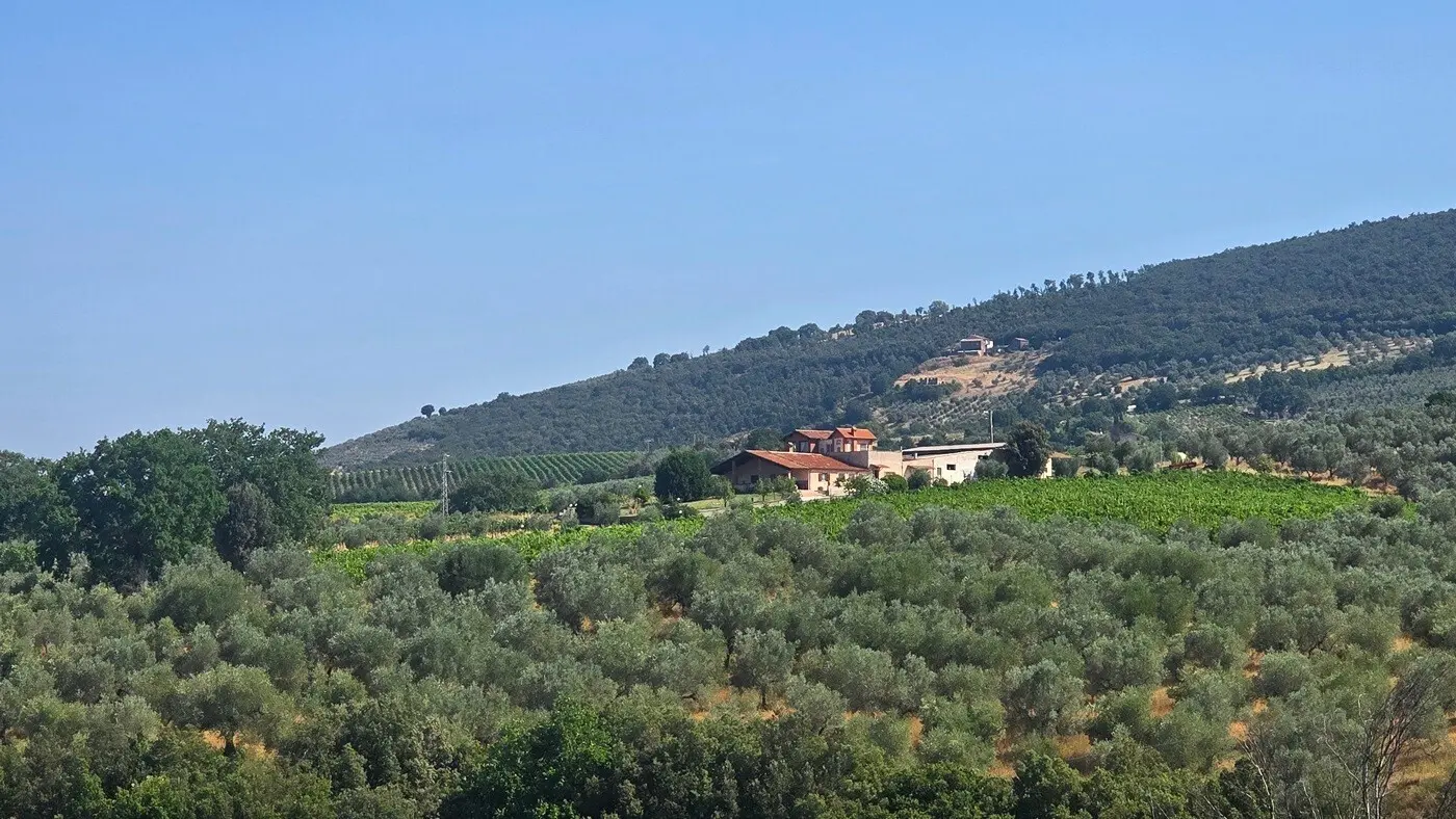 Immagine per Casale in vendita a Montecchio via Selvarella 2-6