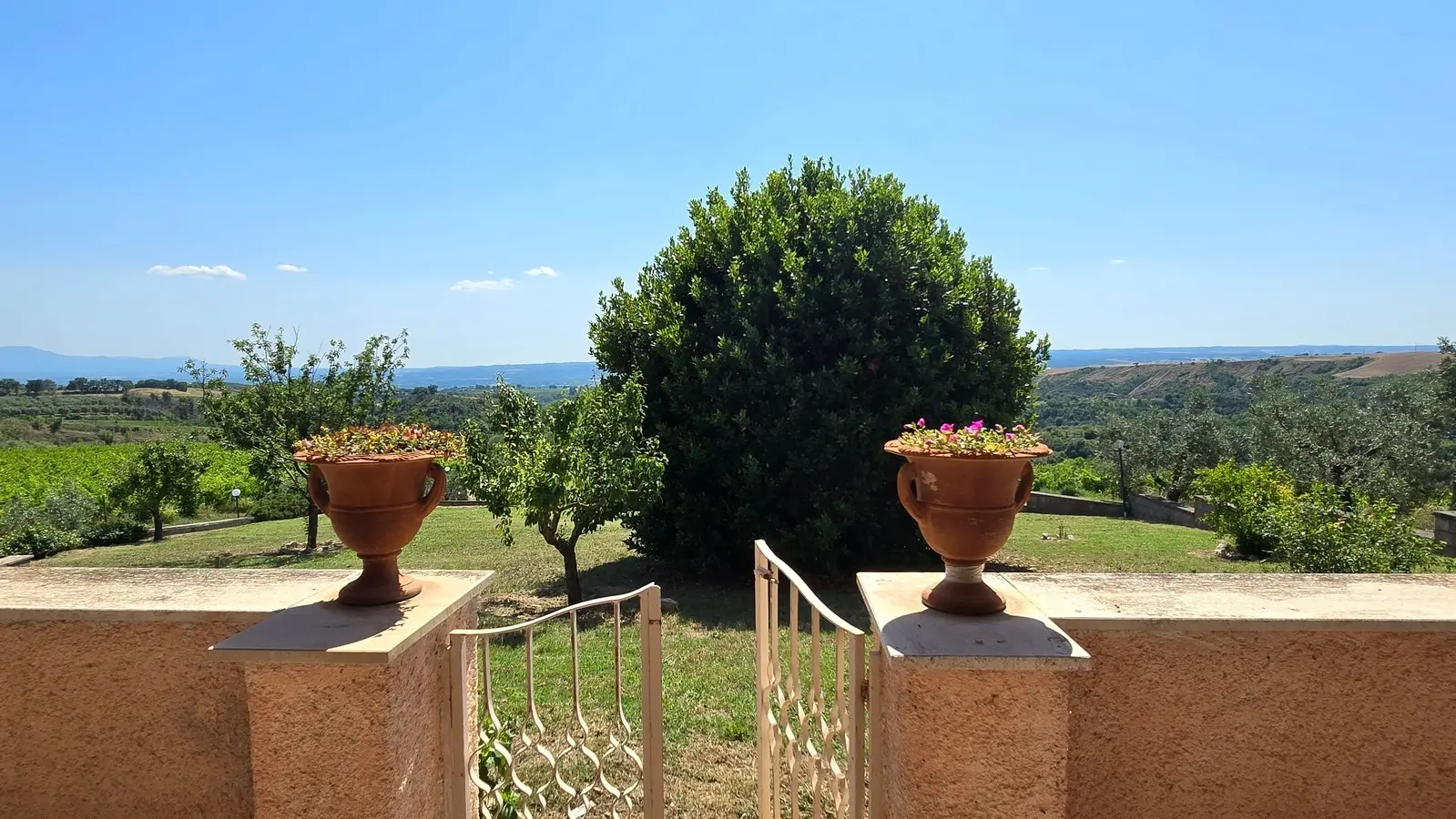 Immagine per Casale in vendita a Montecchio via Selvarella 2-6