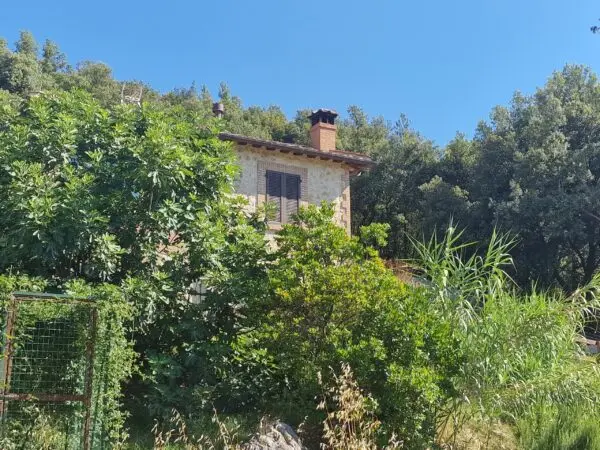 Immagine per Casale in vendita a Amelia via Orvieto 35