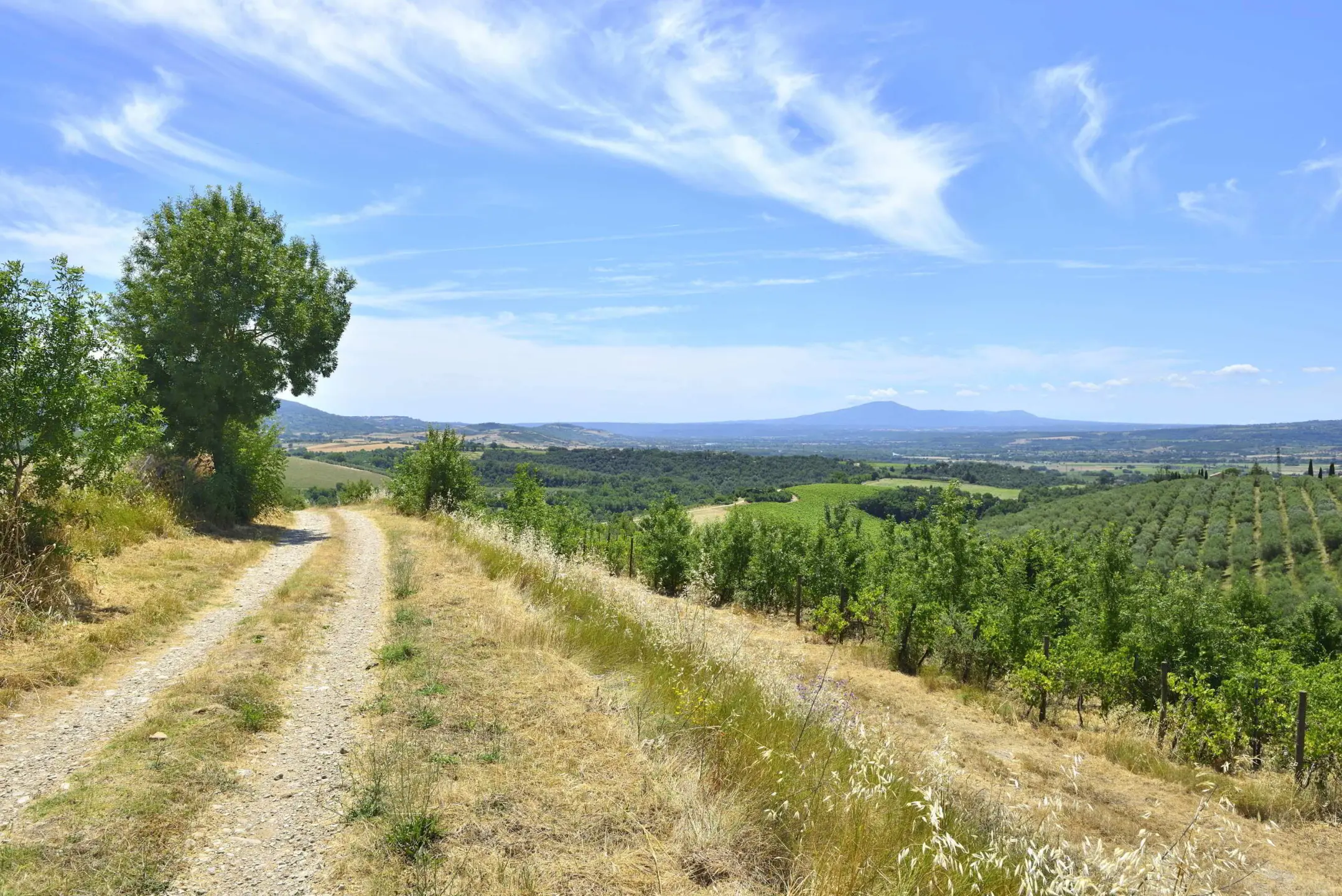 Immagine per Villa in vendita a Baschi via Vocabolo Copio