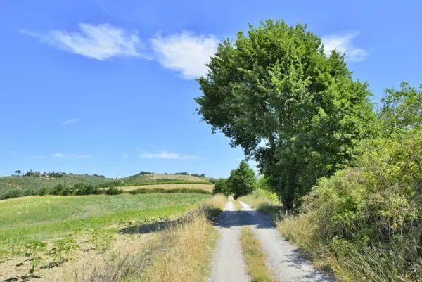 Villa via Vocabolo Copio, Baschi