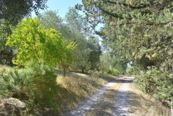 Villa via Vocabolo Copio, Baschi