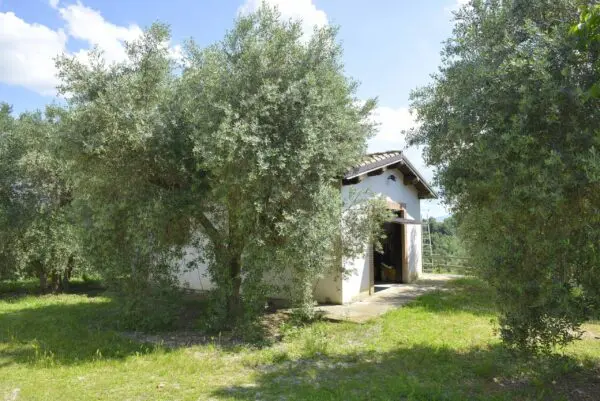 Villa via Vocabolo Copio, Baschi
