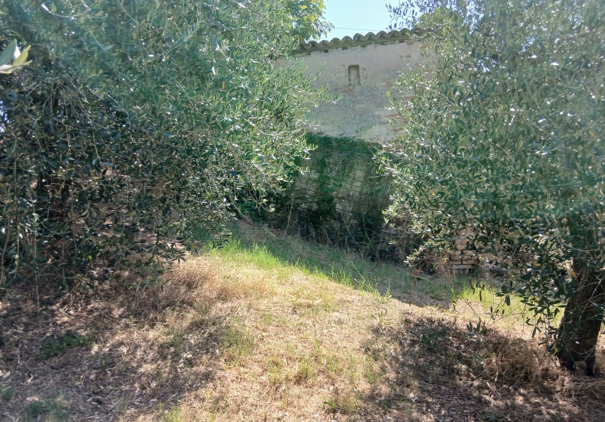 Immagine per Rustico in vendita a Montecastrilli via Vocabolo Merolfo