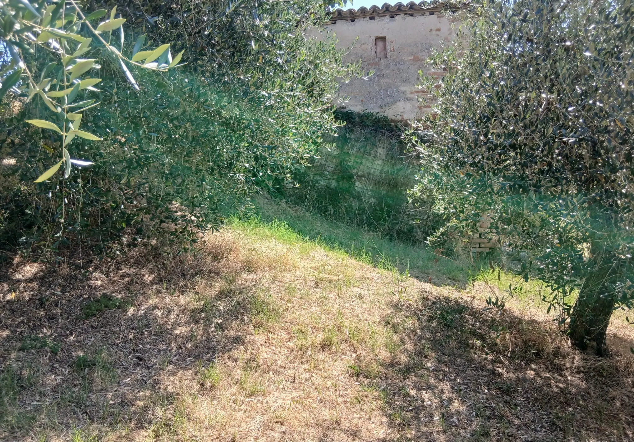 Immagine per Rustico in vendita a Montecastrilli via Vocabolo Merolfo