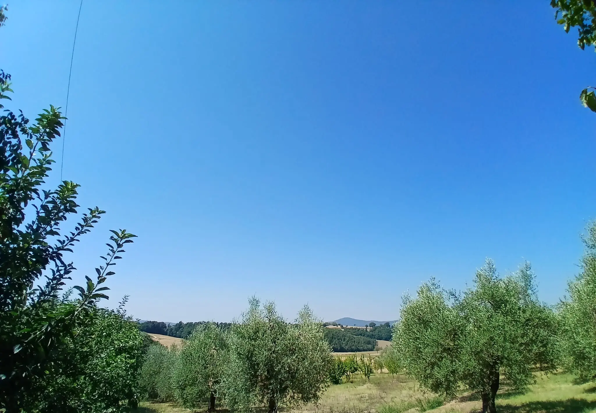 Immagine per Rustico in vendita a Montecastrilli via Vocabolo Merolfo