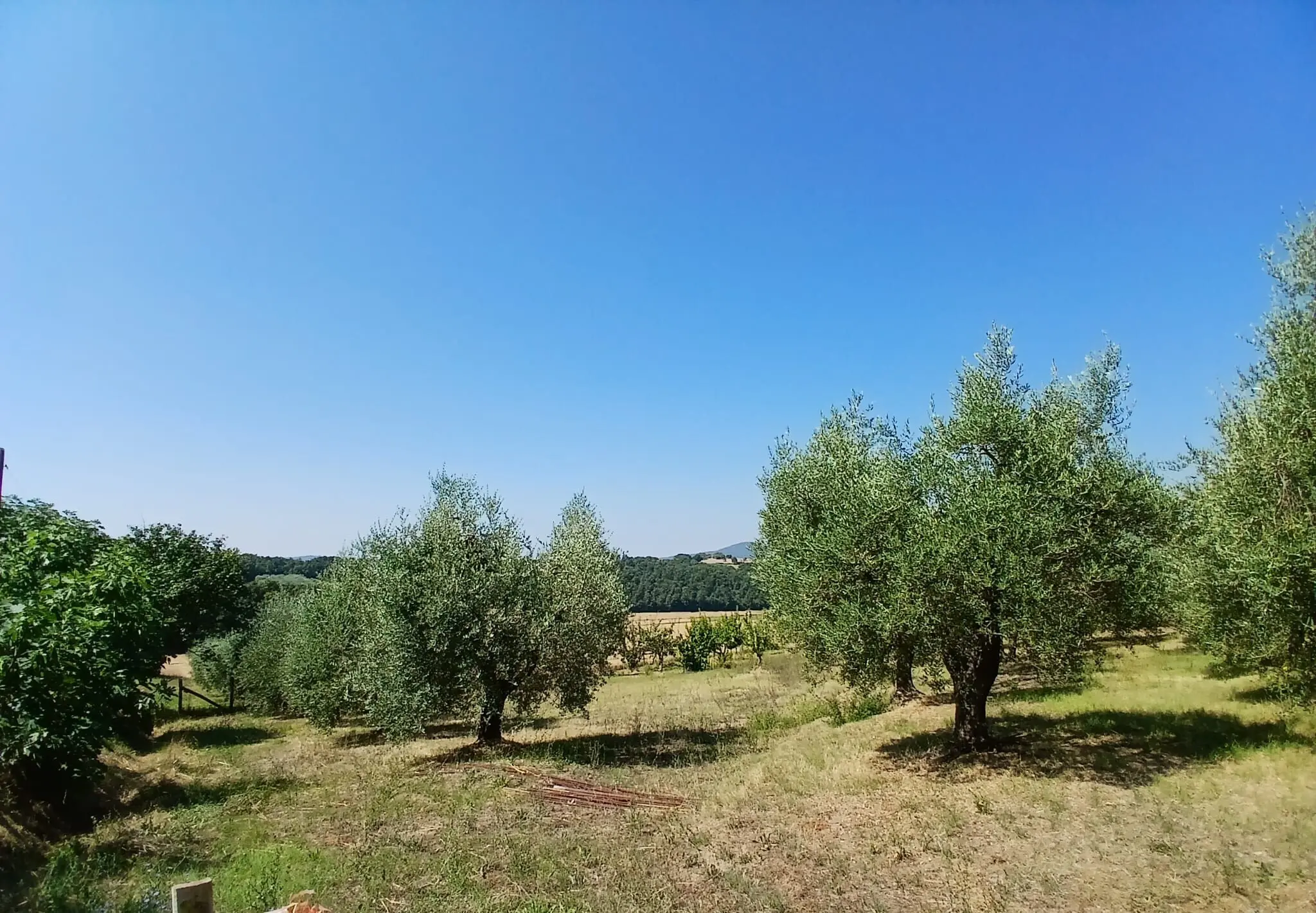 Immagine per Rustico in vendita a Montecastrilli via Vocabolo Merolfo