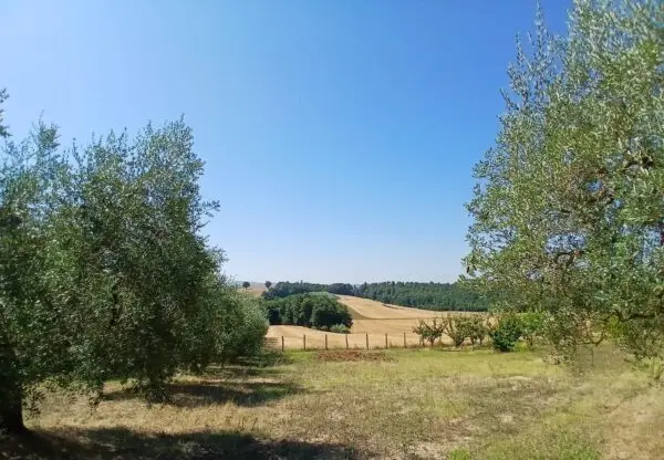 Rustico via Vocabolo Merolfo, Montecastrilli