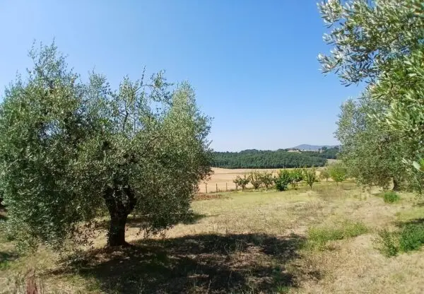 Rustico via Vocabolo Merolfo, Montecastrilli