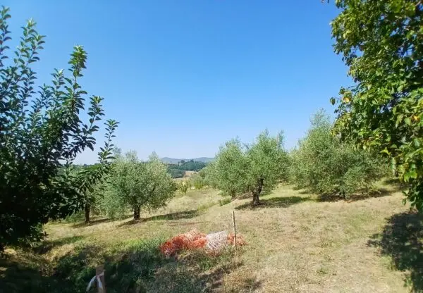 Rustico via Vocabolo Merolfo, Montecastrilli