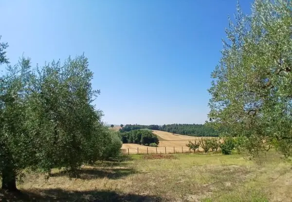 Rustico via Vocabolo Merolfo, Montecastrilli