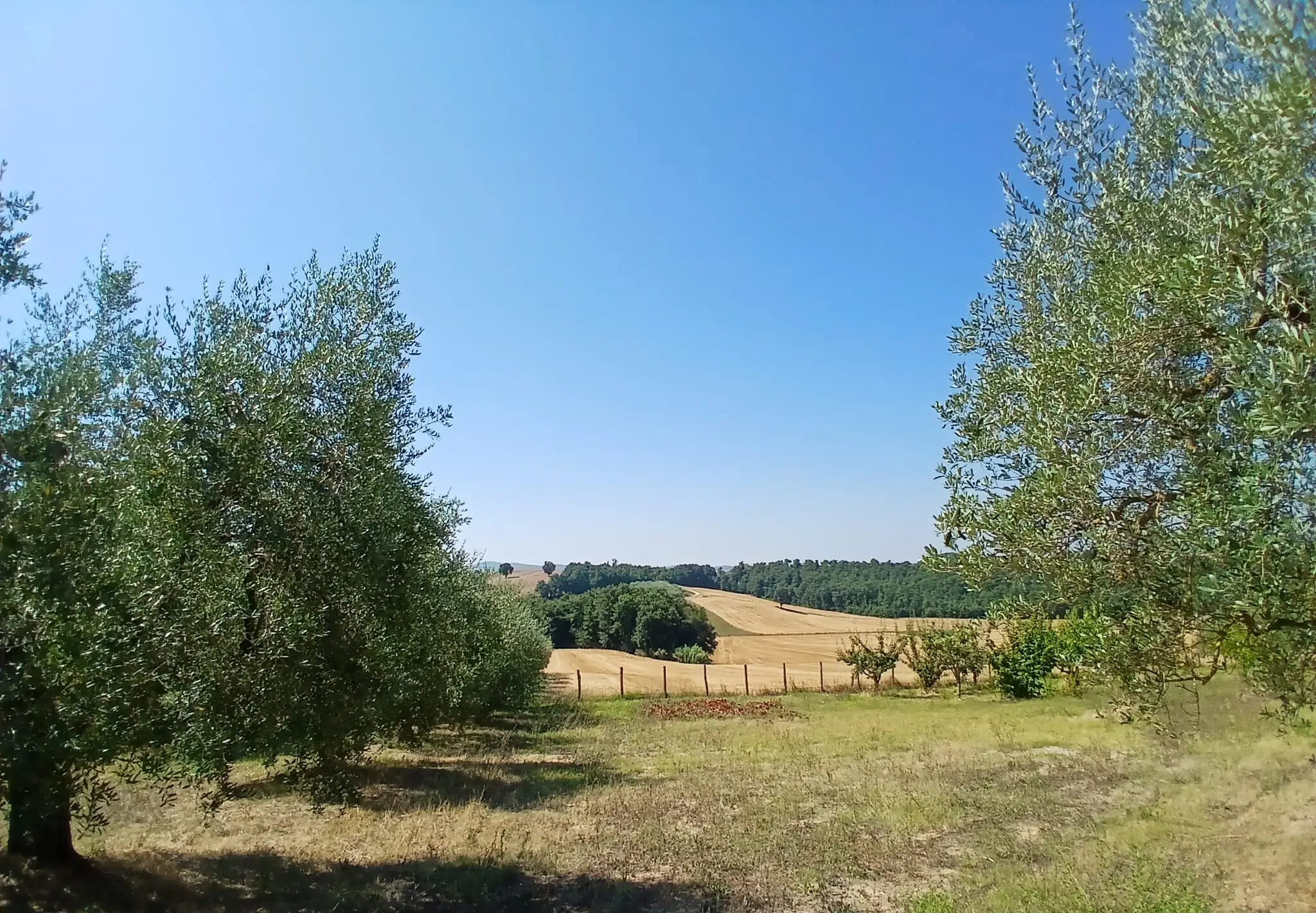 Immagine per Rustico in vendita a Montecastrilli via Vocabolo Merolfo