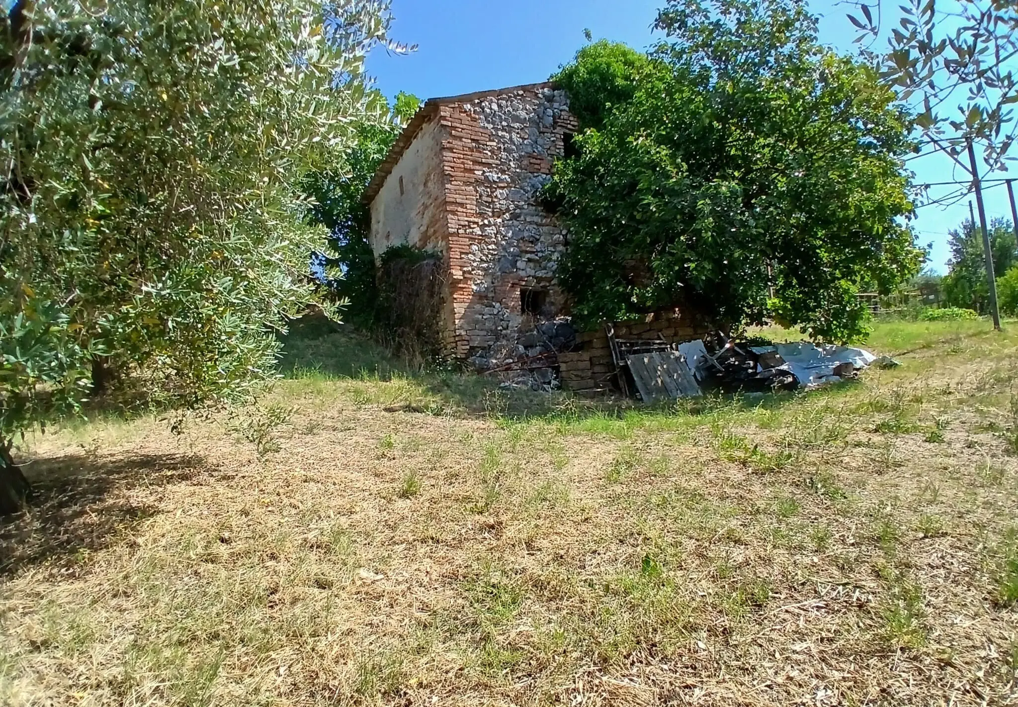 Immagine per Rustico in vendita a Montecastrilli via Vocabolo Merolfo