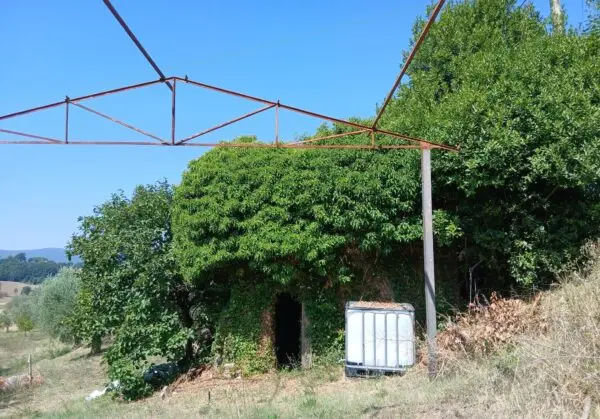 Rustico via Vocabolo Merolfo, Montecastrilli