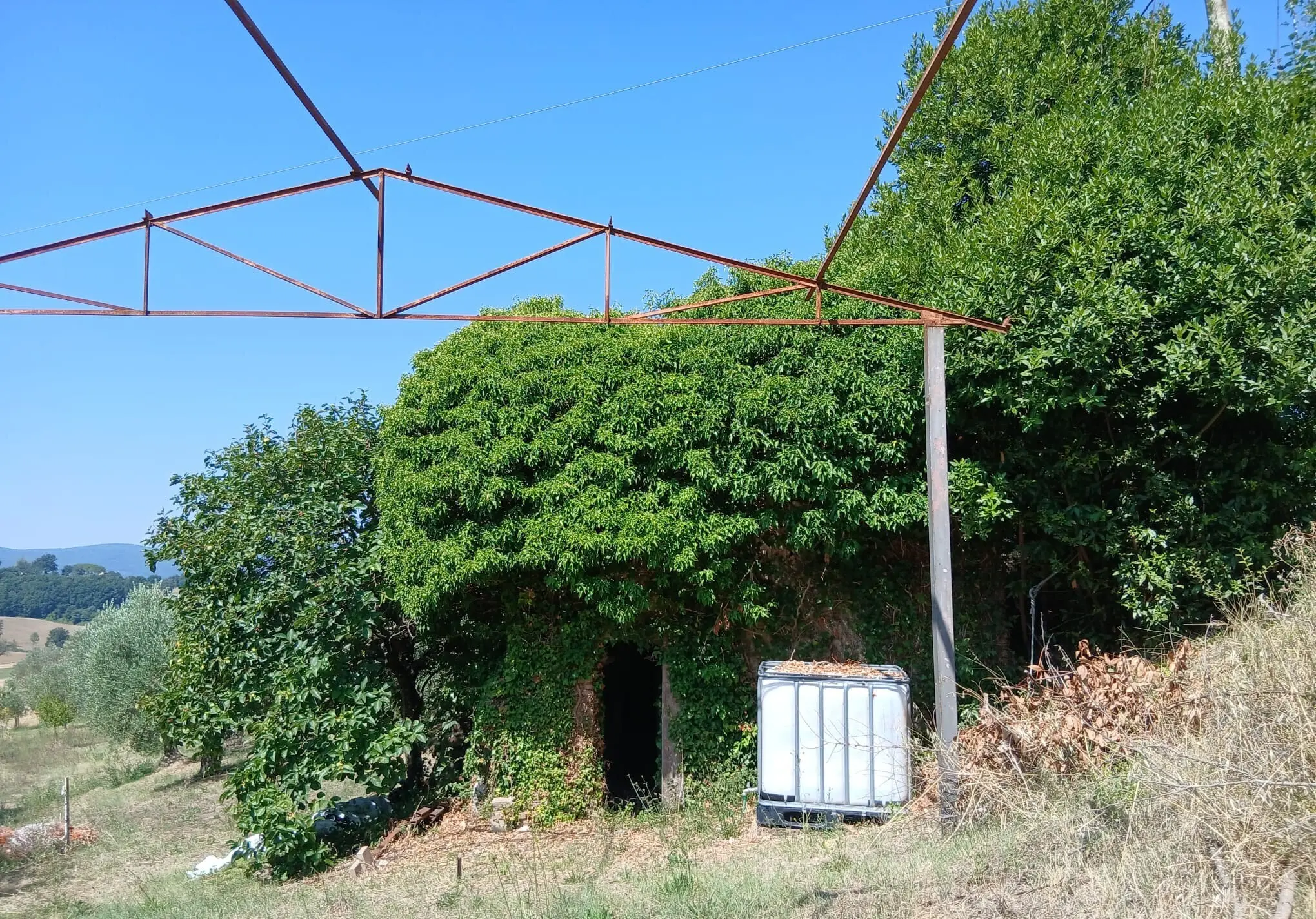 Immagine per Rustico in vendita a Montecastrilli via Vocabolo Merolfo