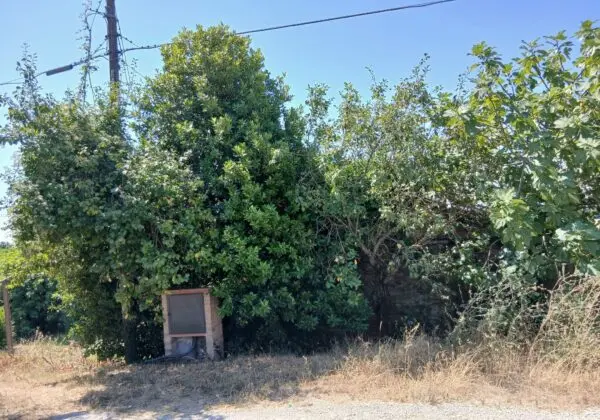 Rustico via Vocabolo Merolfo, Montecastrilli