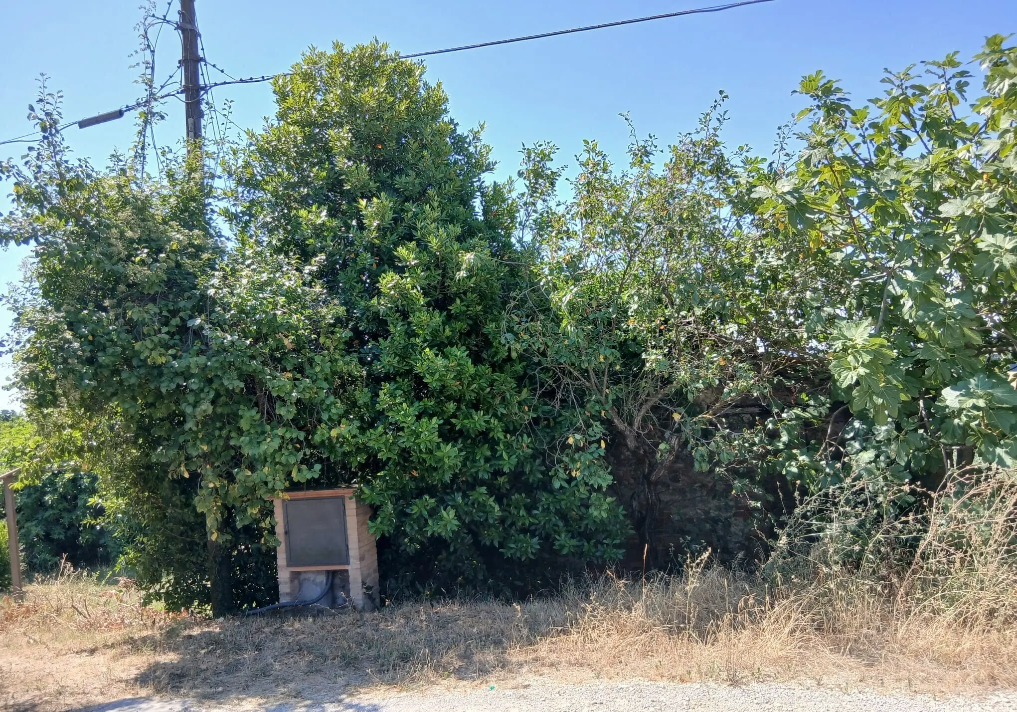 Immagine per Rustico in vendita a Montecastrilli via Vocabolo Merolfo