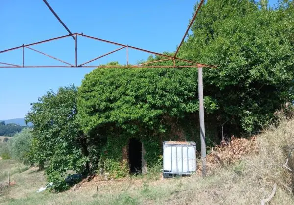 Rustico via Vocabolo Merolfo, Montecastrilli