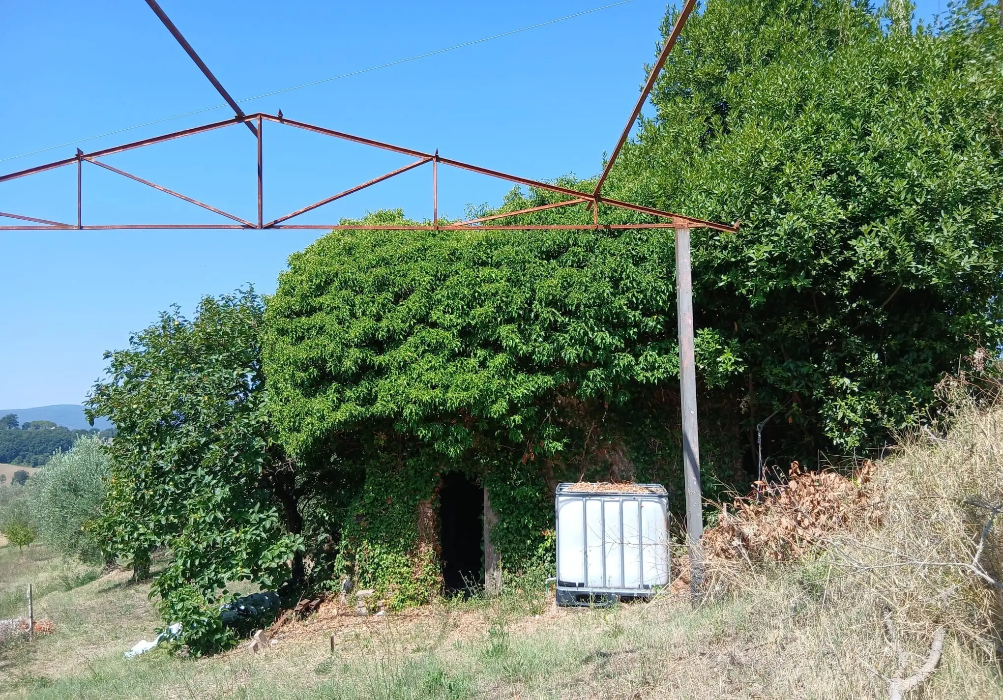 Immagine per Rustico in vendita a Montecastrilli via Vocabolo Merolfo