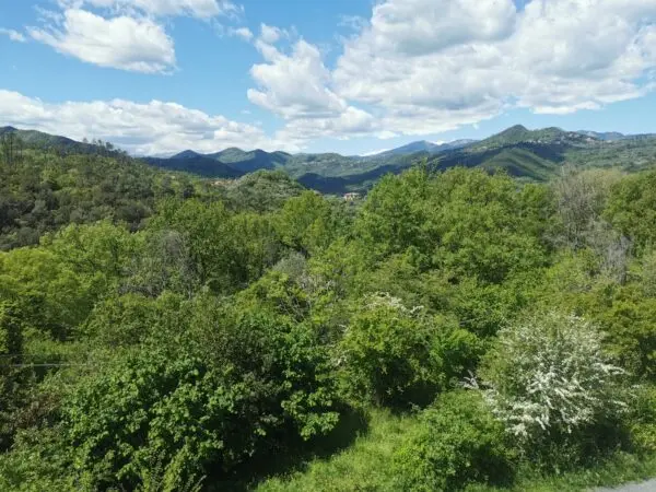 Trilocale strada Per Marta 11, Villanova D'Albenga