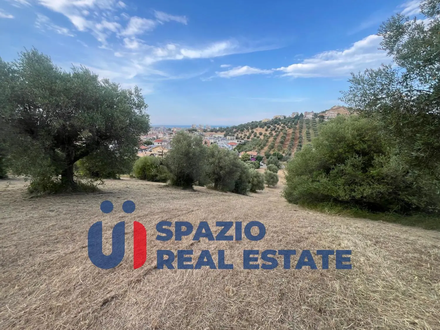 Immagine per Terreno commerciale in vendita a Montesilvano