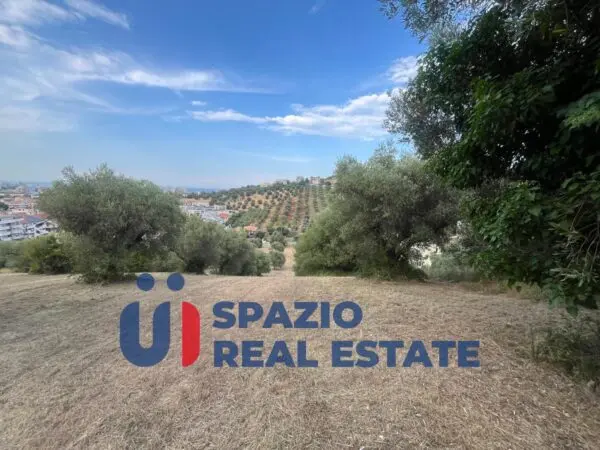 Immagine per Terreno commerciale in vendita a Montesilvano