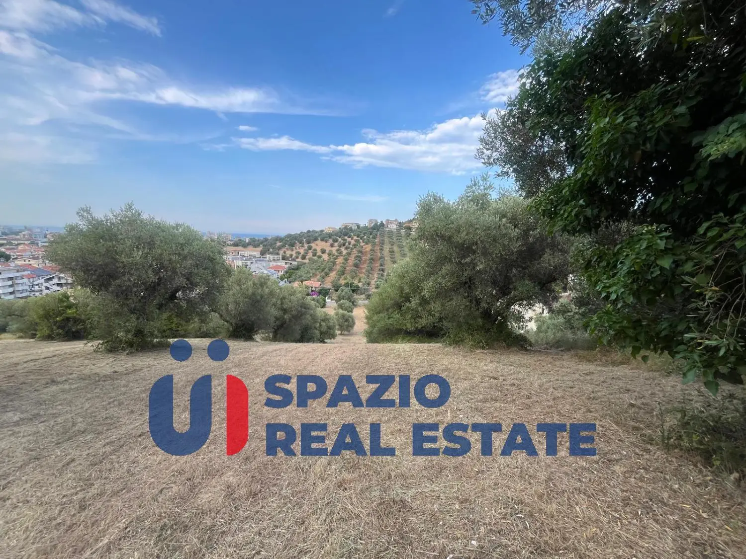Immagine per Terreno commerciale in vendita a Montesilvano