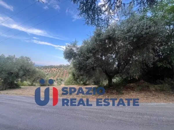 Immagine per Terreno commerciale in vendita a Montesilvano