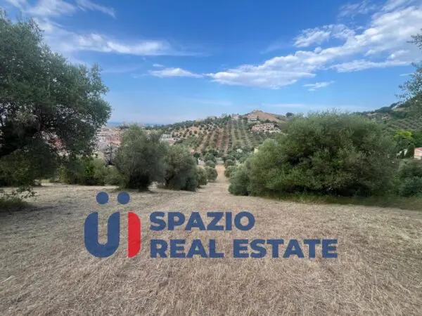 Immagine per Terreno commerciale in vendita a Montesilvano