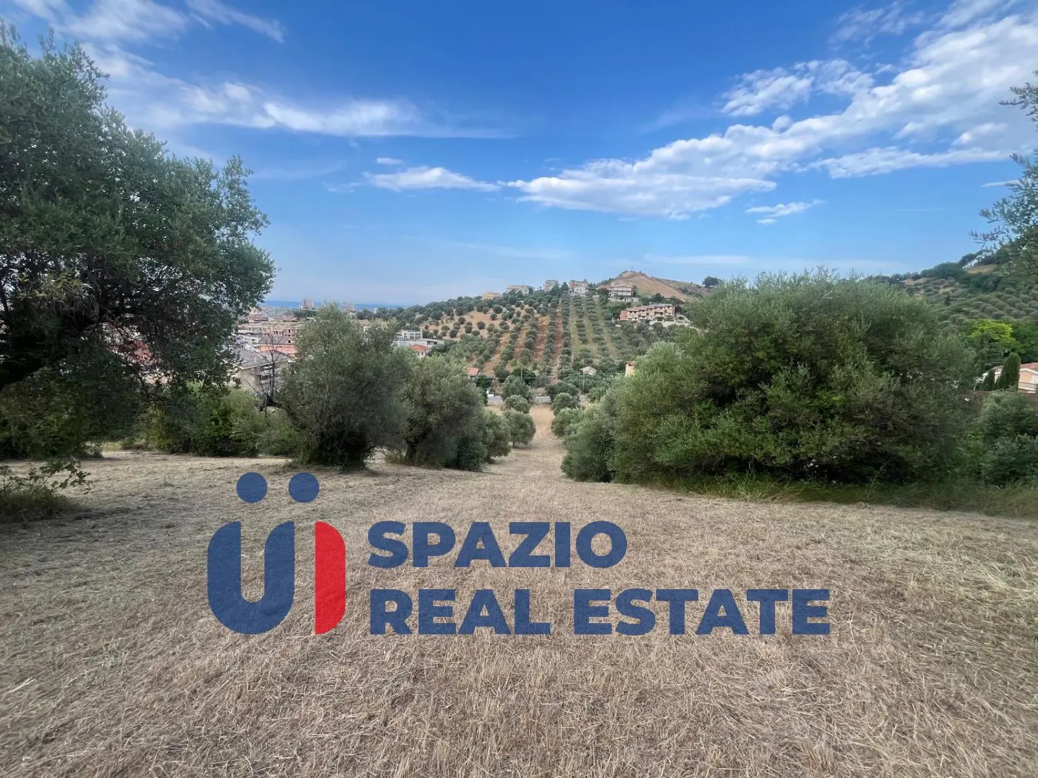 Immagine per Terreno commerciale in vendita a Montesilvano